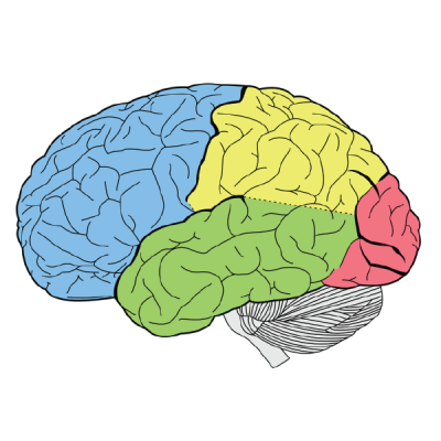 Cognitive Tools Theory (Egan) - Learning Theories